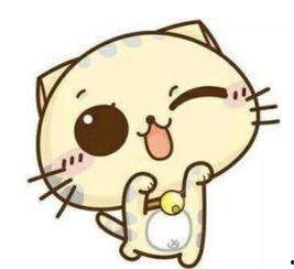 吃瓜猫头像卡通,萌态可掬的卡通形象，带你领略趣味生活