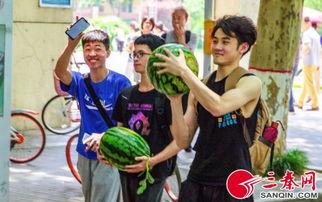 吃瓜小说学校里面,吃瓜群众眼中的校园秘事