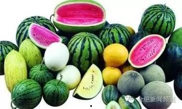 二瓜吃货,探寻美食世界的味蕾之旅