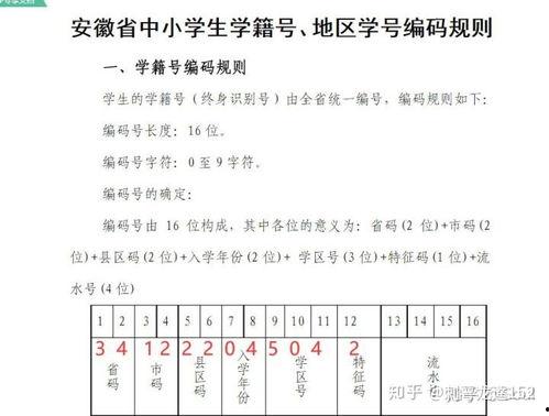 吃瓜群众的李星星,吃瓜群众眼中的娱乐圈风云人物