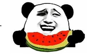 吃瓜黄脸恶搞,揭秘网络恶搞现象背后的真相