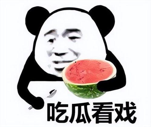 吃瓜卡住表情包,笑翻网友的瞬间